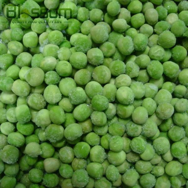 Frozen green pea IQF green pea  Grade A 4