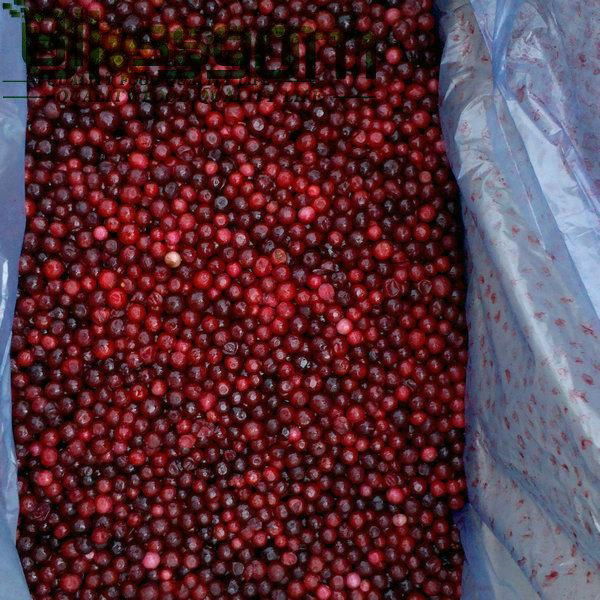 Frozen lingonberry IQF lingonberry Grade A 2