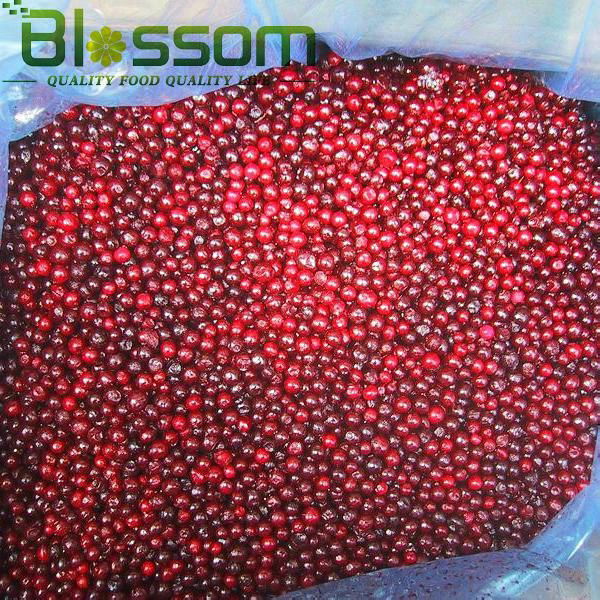 Frozen lingonberry IQF lingonberry Grade A 3