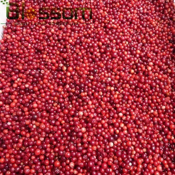 Frozen lingonberry IQF lingonberry Grade A 4