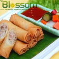 Chinese characteristics snacks frozen spring roll IQF spring roll 4