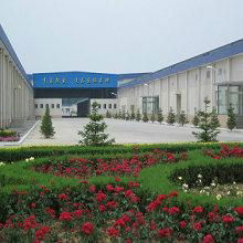 Qingdao blossom food co., ltd