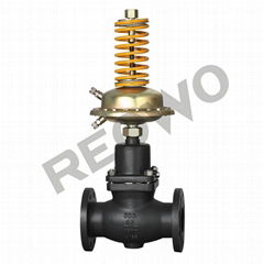 The 30D04Y 30D04R self-operated differential pressure control valve