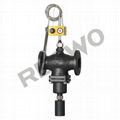 The 30T02Y /R self-operated temperature (cooling type) control valve 1