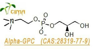 50% powder  Alpha-GPC(choline alfoscerate)