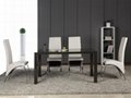 Home Furnitur MDF and High Gloss Dining Table