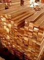 Savina Sawn Timber