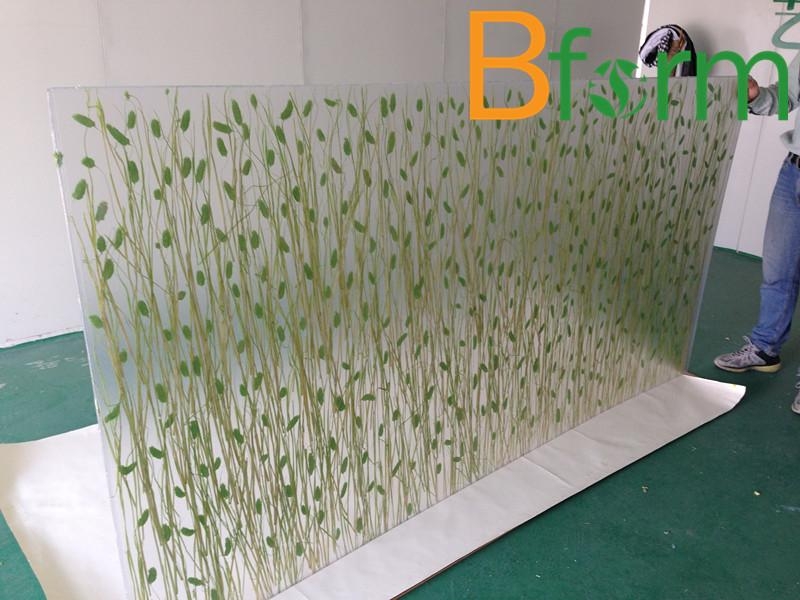 Bform ecological resin panel with plants interlayer 有机形态 (China