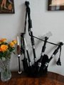 scottish rosewood bagpipe full size with free accessories