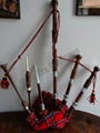 scottish rosewood bagpipe full size with