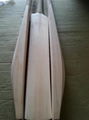 Plain English Willow Cricket Bat