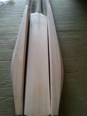 Plain English Willow Cricket Bat