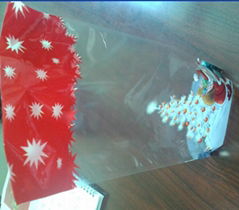 Plastic Bags for Chirstmas Gift Packing 