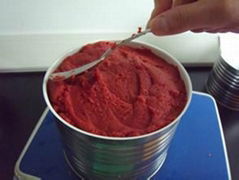 Good Quality Canned Tomato Paste