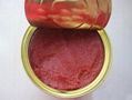 Good Quality Canned Tomato Paste (70g-4500g) 2