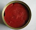 Good Quality Canned Tomato Paste (70g-4500g) 3