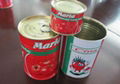 Good Quality Canned Tomato Paste (70g-4500g) 4