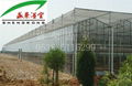 Large Multi-span Glass Greenhouse  3