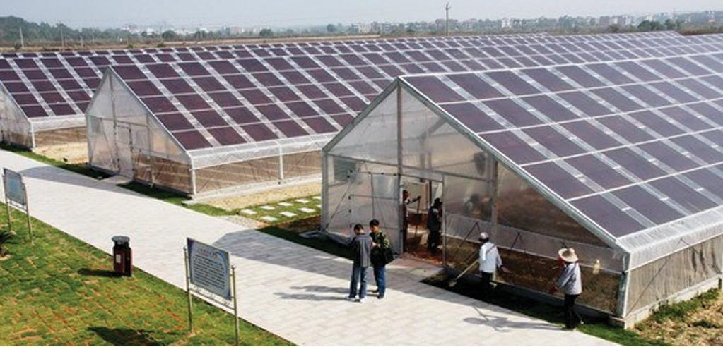 Solar Energy Greenhouse 