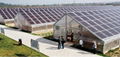 Solar Energy Greenhouse  1