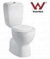 Popular floor mounted toilet bowl washdown two pieces toilet(WDS168)