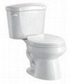 CUPC high quality water closet  jet siphonic two pieces toilet bowl(WDS8) 1