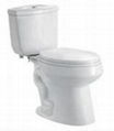 WaterSense ceramic flush toilet jet siphonic two pieces toilet(WDS8H)