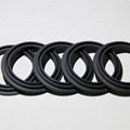 Spring Energized PTFE-Carbon Seals - Quality Technology 2