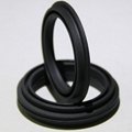 Spring Energized PTFE-Carbon Seals - Quality Technology 4