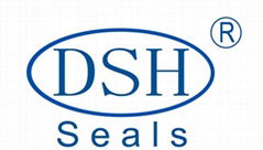 Dongguan DSH Seals Technology Co., Ltd