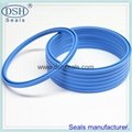 PTFE spring energized seals.