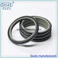 Dust wiper seals, non standard design. 3