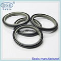 Dust wiper seals, non standard design. 5