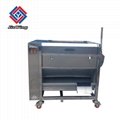 JiuYing High Quality Stainless Steel Sweet Potato Washing Machine JYTP-80