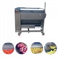 JiuYing High Quality Stainless Steel Sweet Potato Washing Machine JYTP-80 4