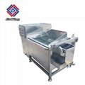 Restaurant Vegetable Washing Machine With CE Approval 1