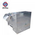 Restaurant Vegetable Washing Machine With CE Approval 3