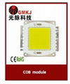 SMD led chip 200w