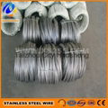 Manufacture supplying directly electro stainless steel wire  3