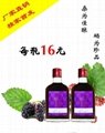 紫雲莊園-桑椹酒16° 1