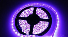 Magic LED Flex strips