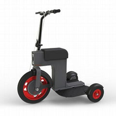 ACTON M Electric Scooter Three wheels Aluminum frame Lithium battery 48v 10AH Co