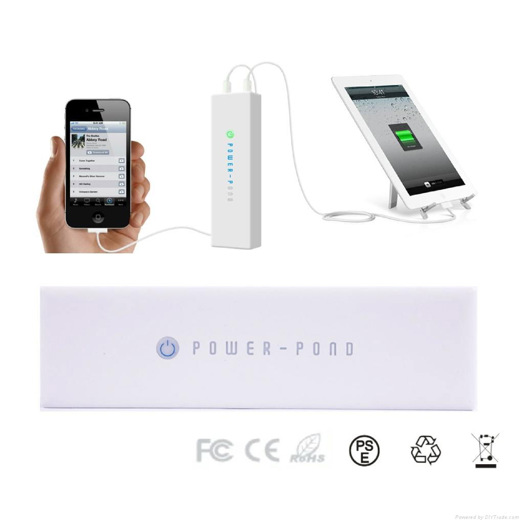 Double Output High Capacity Energy Plus Battery Power Bank 12000mAh 5