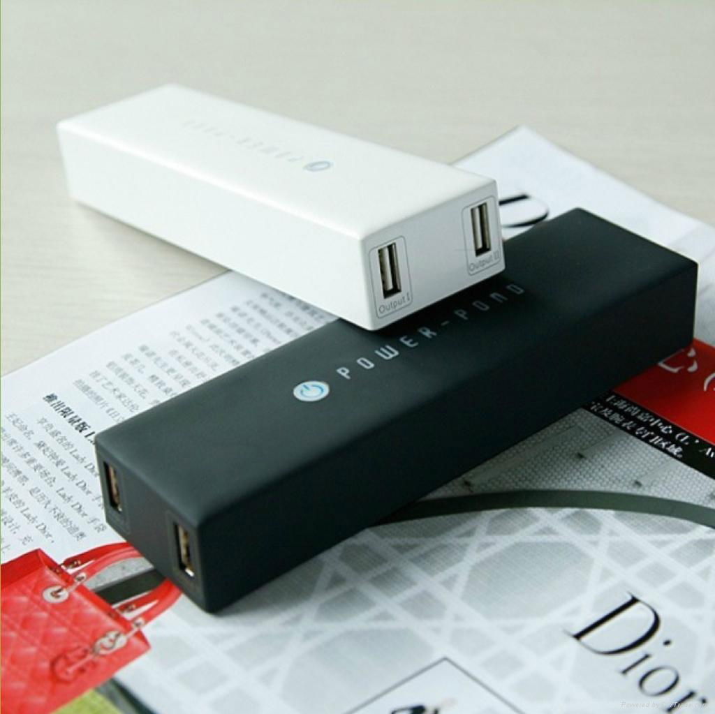 Double Output High Capacity Energy Plus Battery Power Bank 12000mAh