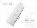 Portable Fast Charged Mobile Power Bank 15600mAh with Factory Price Best Quality 2