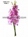 Dendrobium orchid cut flower 3