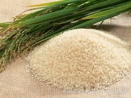 RICE FLOUR