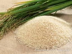 RICE FLOUR