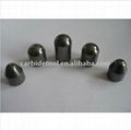 Tungsten Carbide Rock Button Bits 1