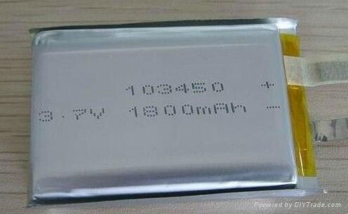 深圳聚合物鋰離子電池 3